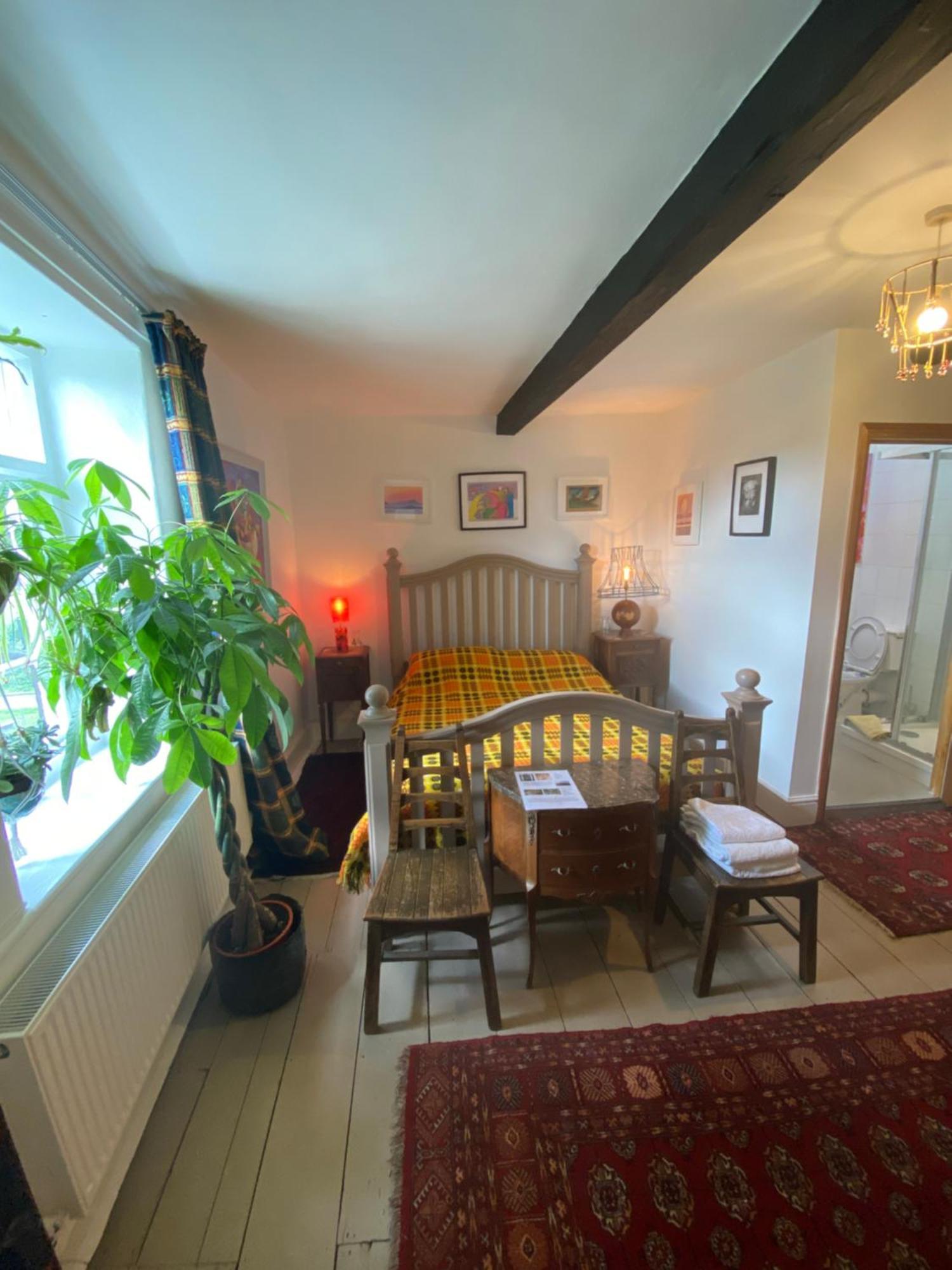 Art House B & B Raglan Phòng bức ảnh